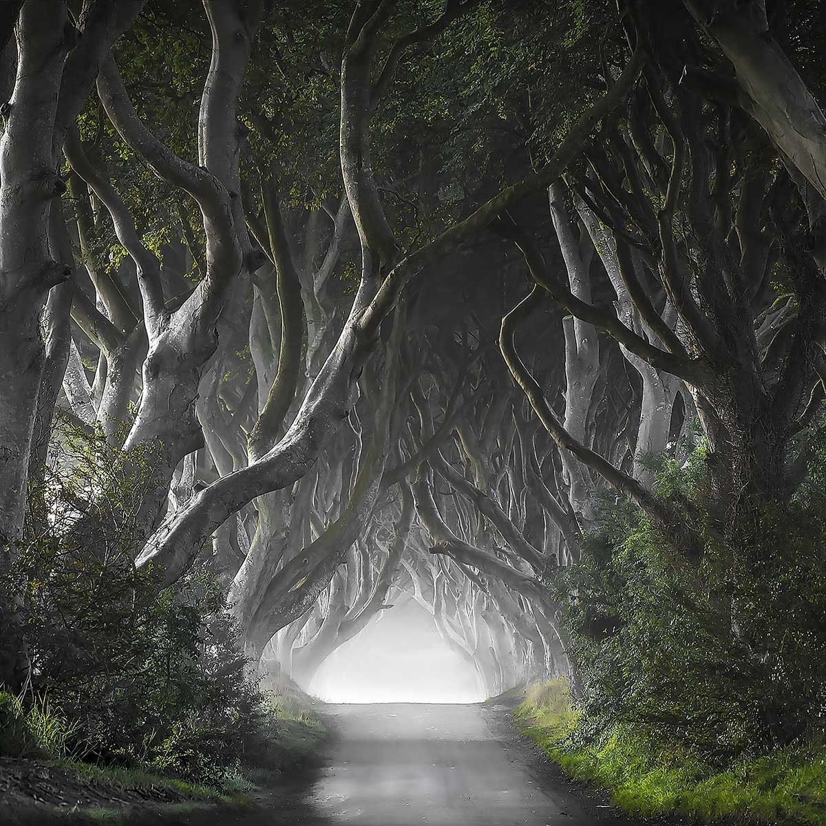 Tableau route de l'irréel Tableau alu Dibond