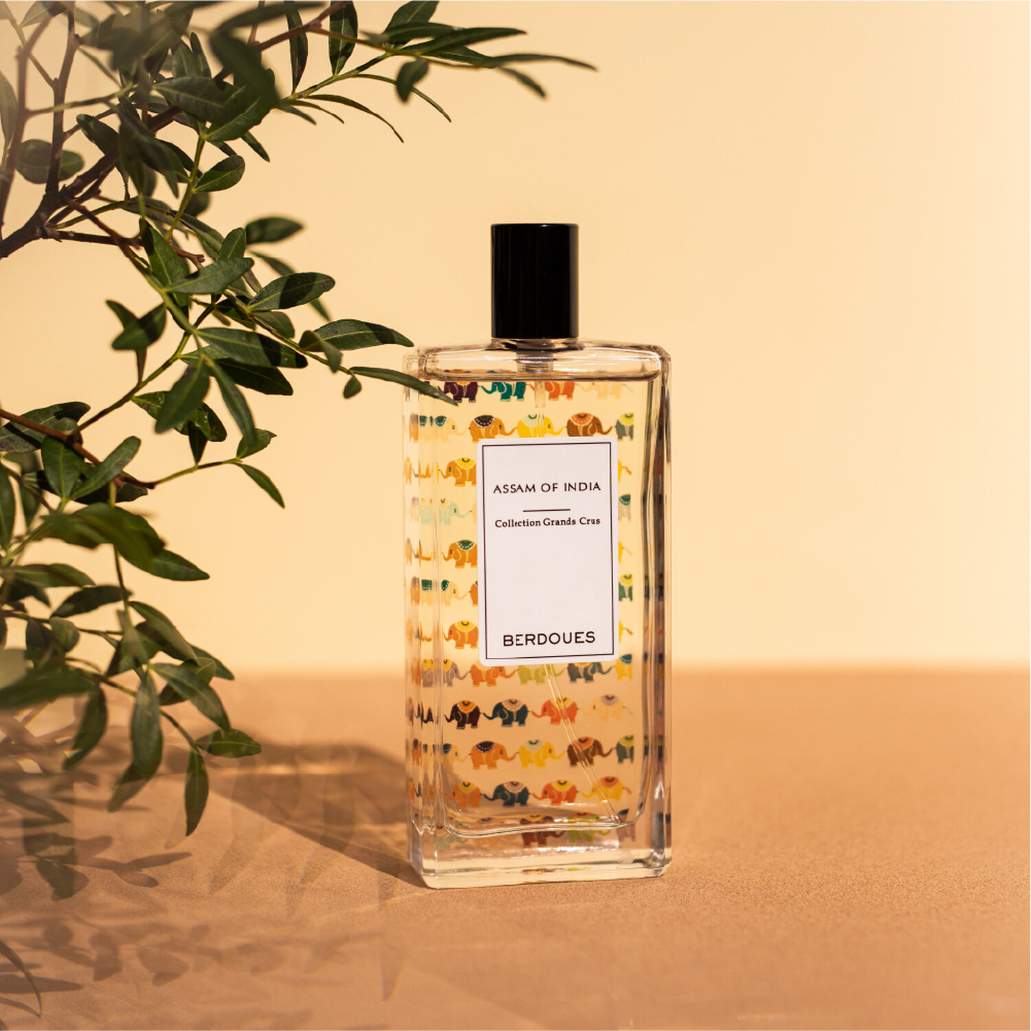 Assam Of India - Eau de Parfum