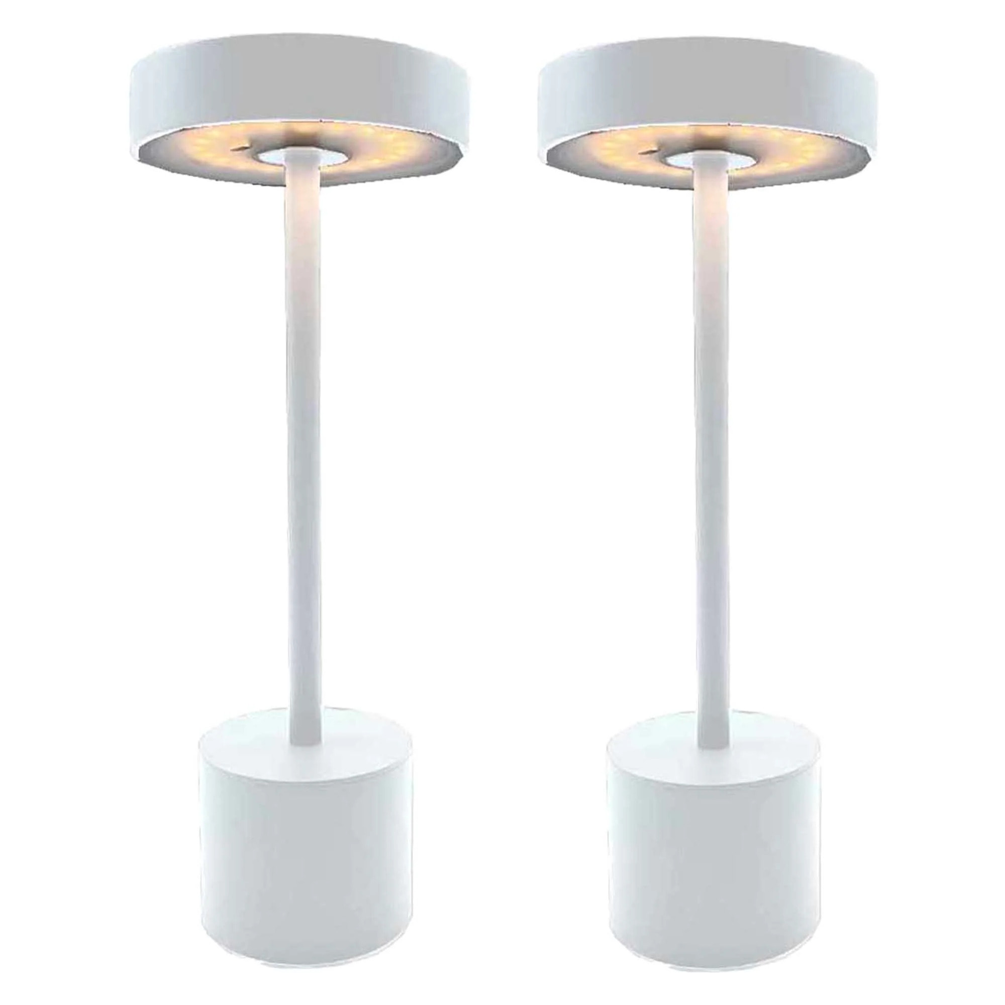 2 Lampe de table sans fil ROBY H30CM