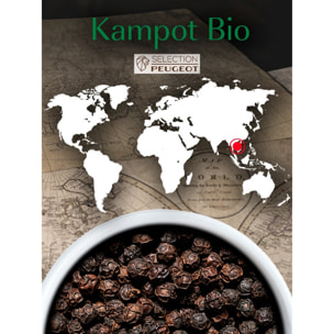 Poivre noir bio du Cambodge, 60g - 3 sachets fraicheur de 20g Kampot Bio