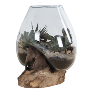 Terrario San Marino in vetro a cupola su base in radice di teak 18x20 cm
