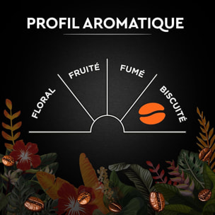 Carte Noire Grains Secret de Nature 2 Catuai 1 KG