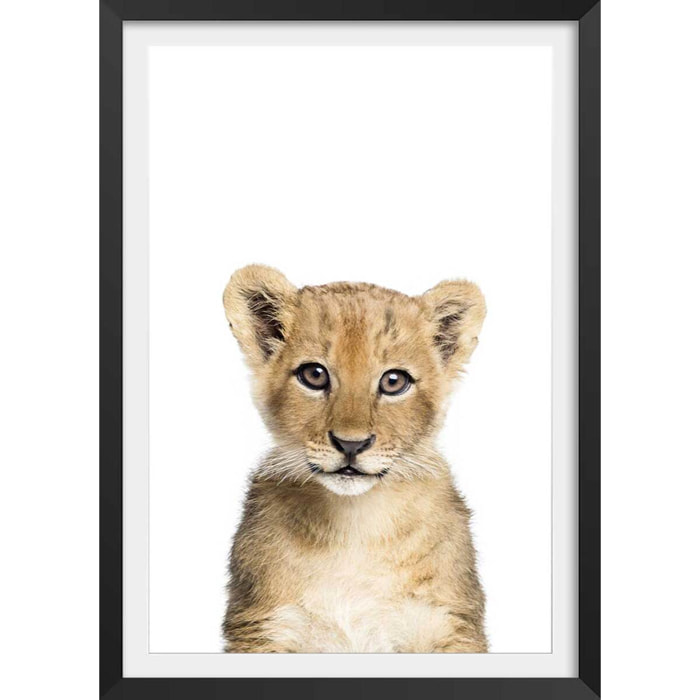 Affiche enfant bébé lionceau  Affiche sous cadre noir