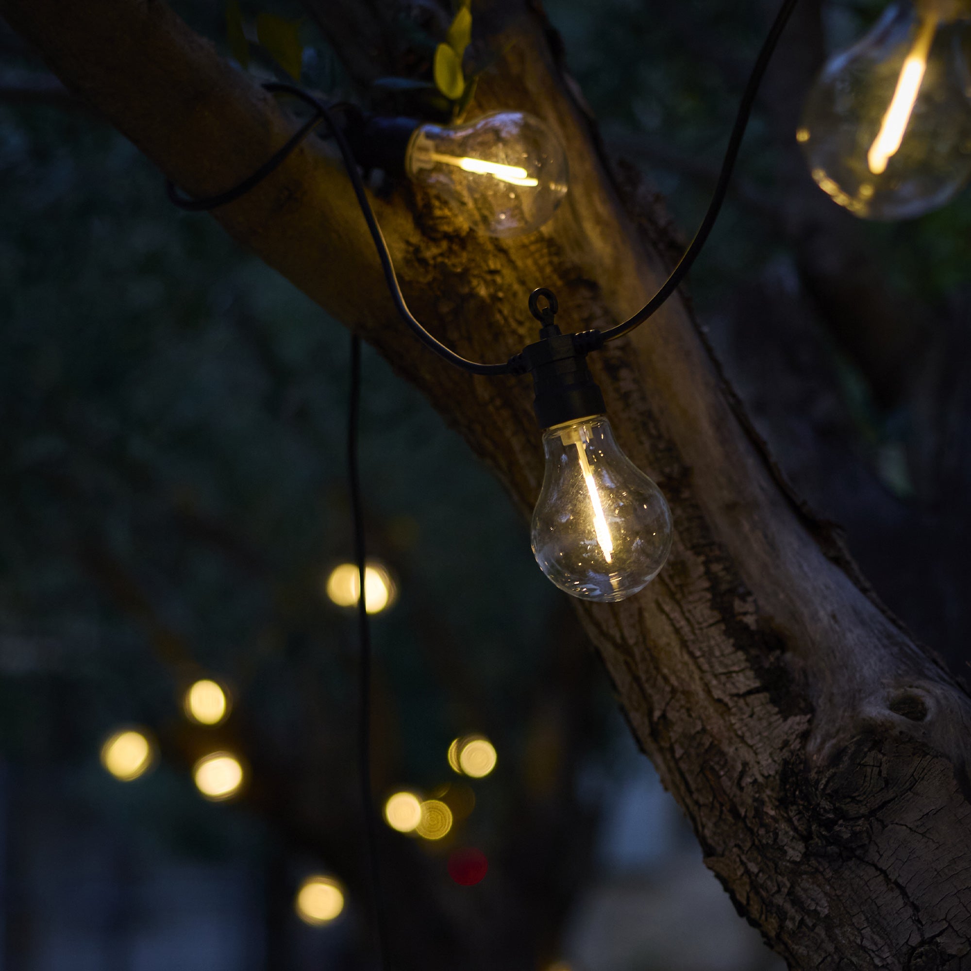 2 Guirlande solaire PARTY MAX 10LED 7.5M