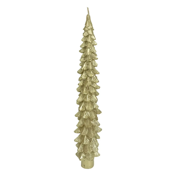 Lot de 2 bougies bâton sapin doré