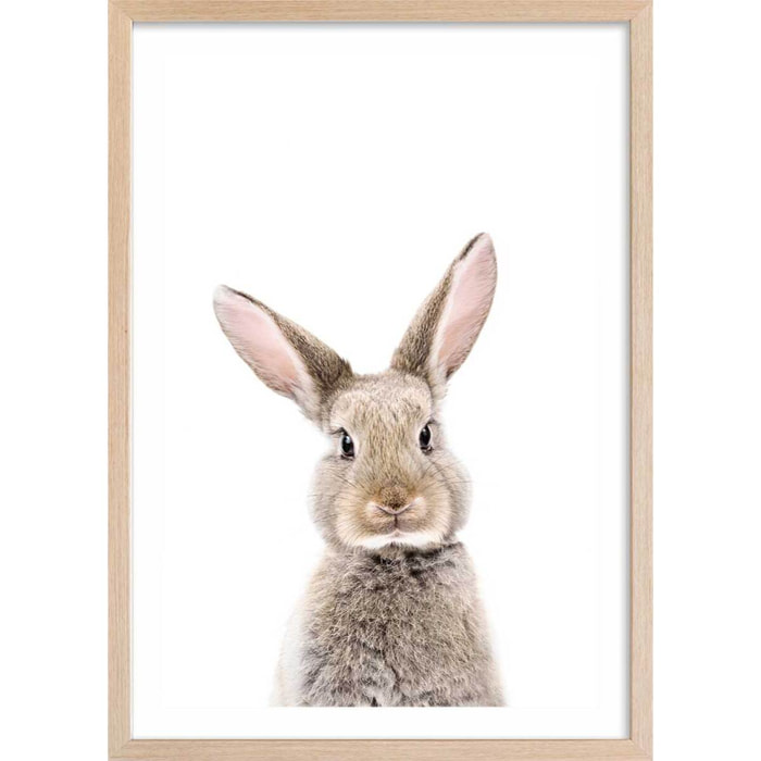 Affiche enfant bébé lapin Affiche + cadre en bois - Chêne