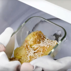 Kit de démarrage sous vide, Verre, 7-pcs, La Mer