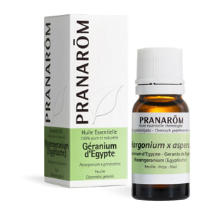 Pranarom - Huile Essentielle de Géranium d'Egypte - 10 ml