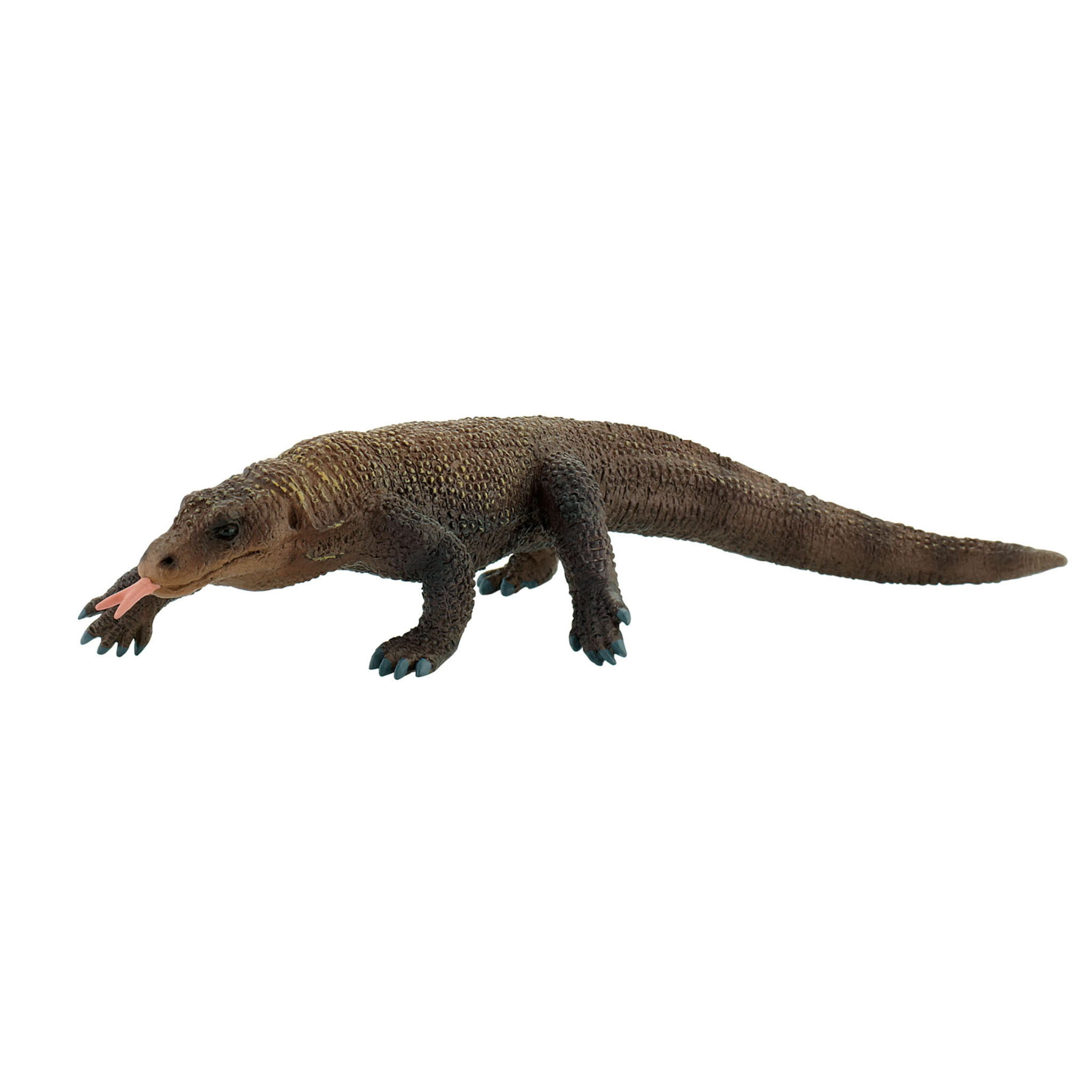 Ragni e Rettili/Drago di Komodo