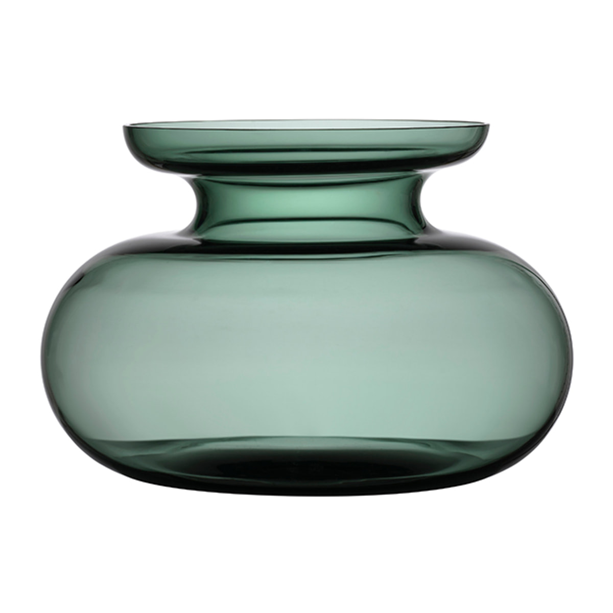 Vase Inu
