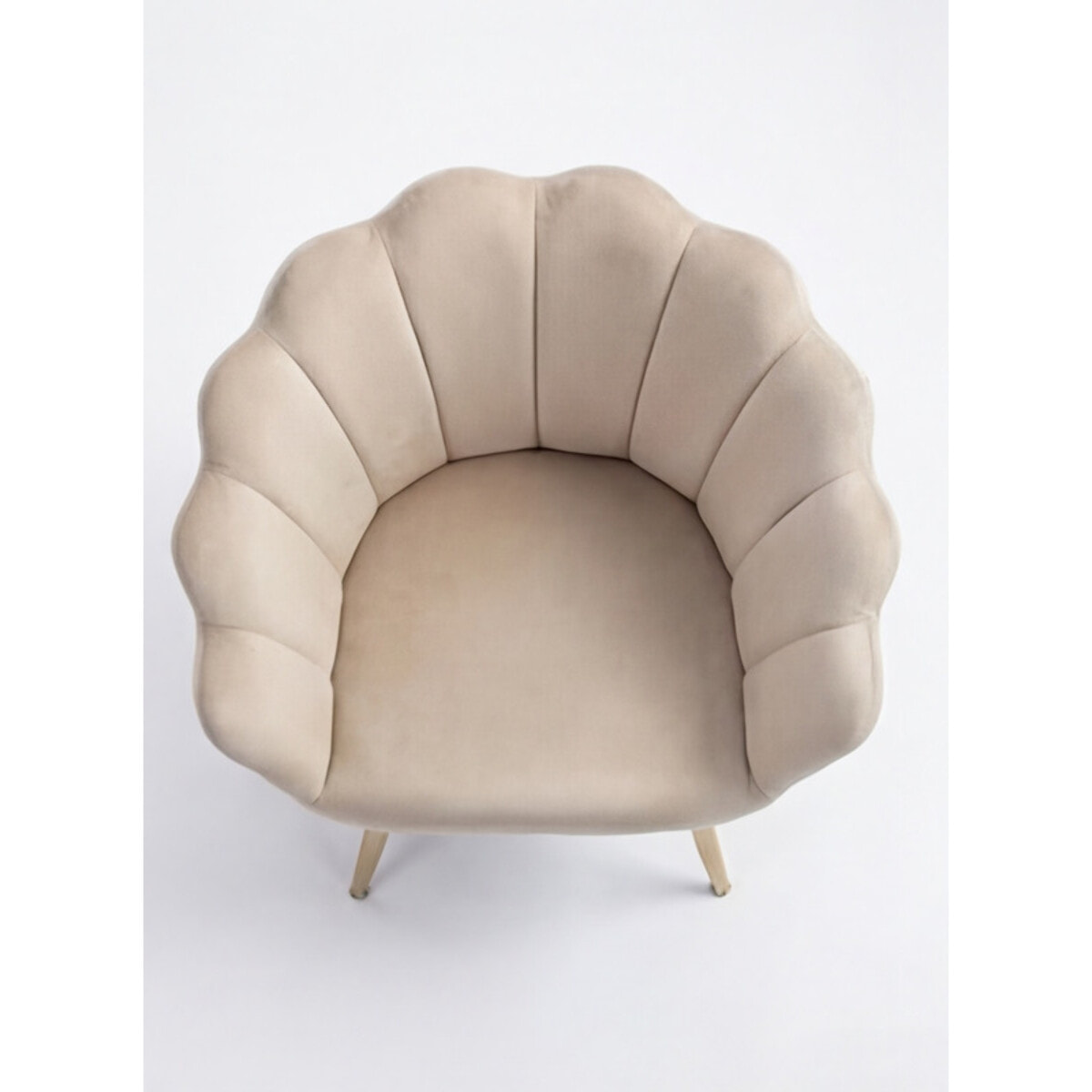 Poltrona in velluto design a conchiglia elegante e moderna, seduta imbottita confortevole con base in legno e gambe in metallo dorato, poltroncina versatile per soggiorno, camera o ufficio, stabile e resistente fino a 100 kg, stile raffinato e decorativo