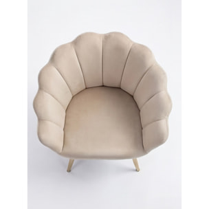 Poltrona in velluto design a conchiglia elegante e moderna, seduta imbottita confortevole con base in legno e gambe in metallo dorato, poltroncina versatile per soggiorno, camera o ufficio, stabile e resistente fino a 100 kg, stile raffinato e decorativo