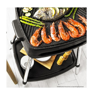 Barbecue elettrici PerfectCountry BBQ Cecotec