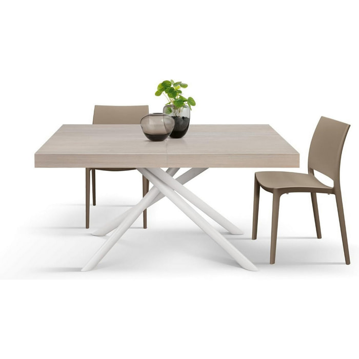 Tavolo CARRARA in legno, finitura olmo perla e base in metallo verniciato bianco, allungabile 160x90 cm - 240x90 cm