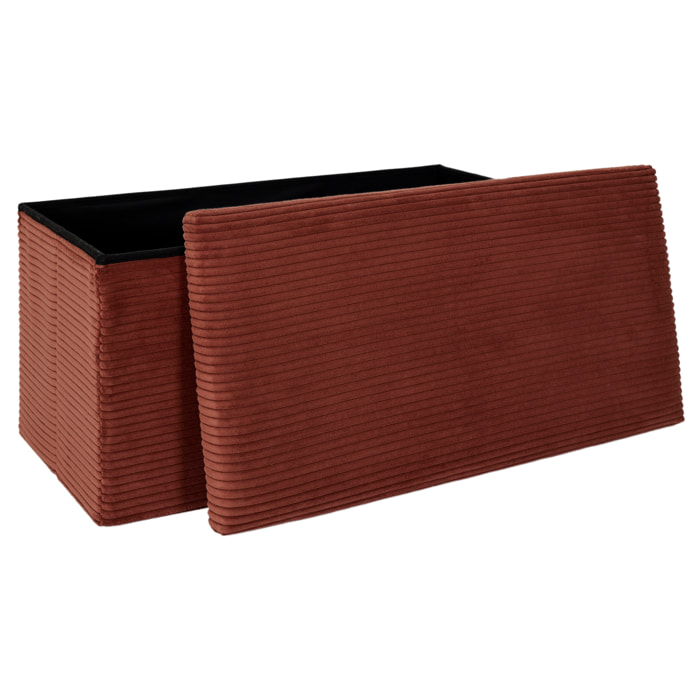 Coffre Banc Pliable Cotele Scott Terra
