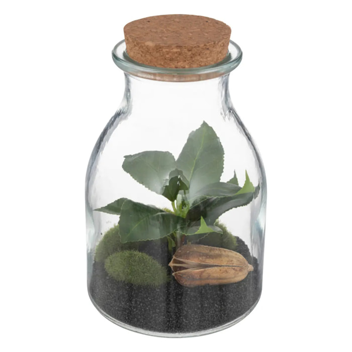Terrarium "Bota" verre H19,5cm