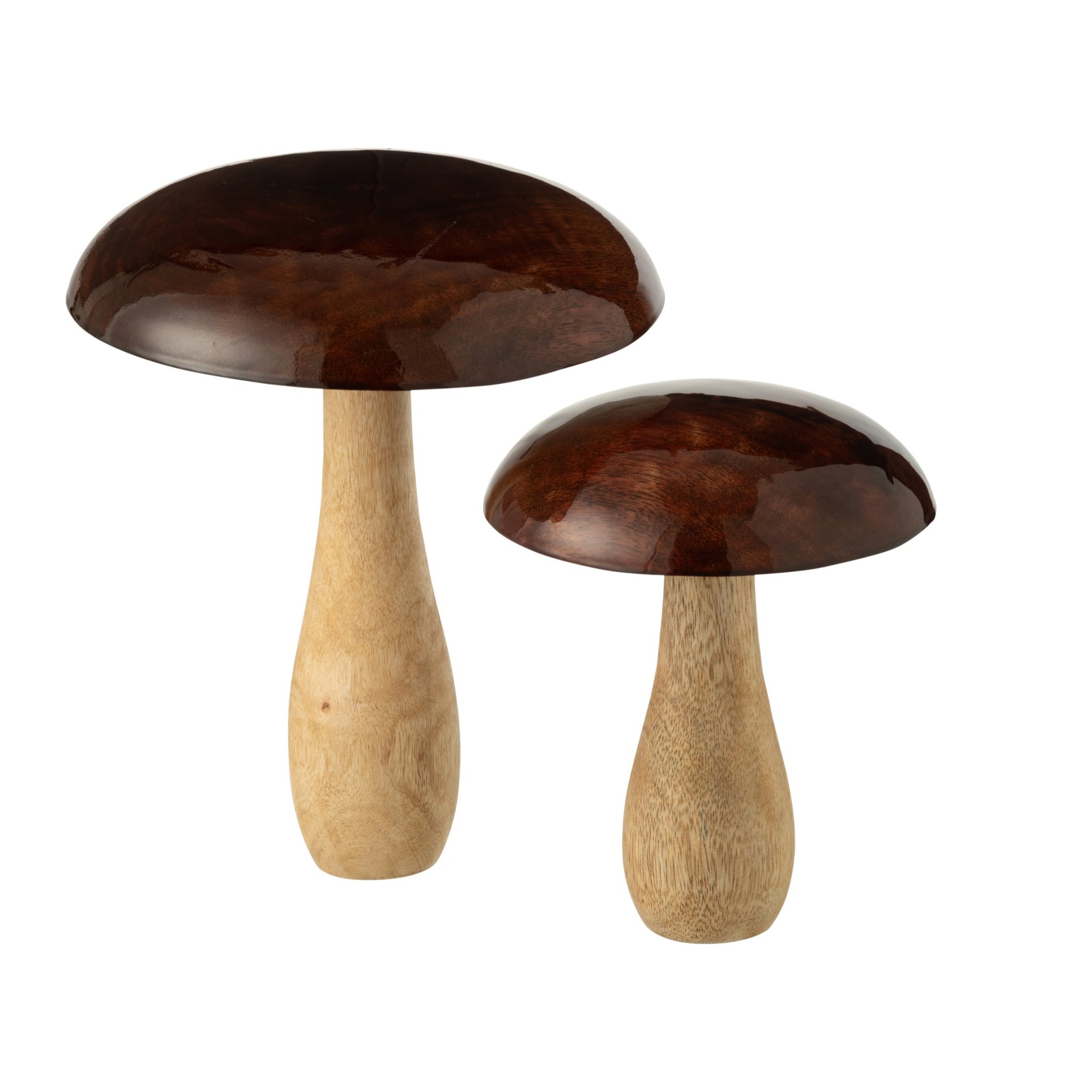J-Line décoration Champignon Brillant - bois - naturel/brun - large