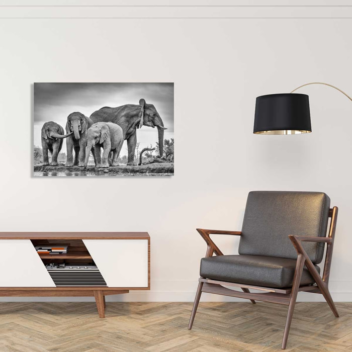 Tableau animaux bataille d'eau Tableau alu Dibond