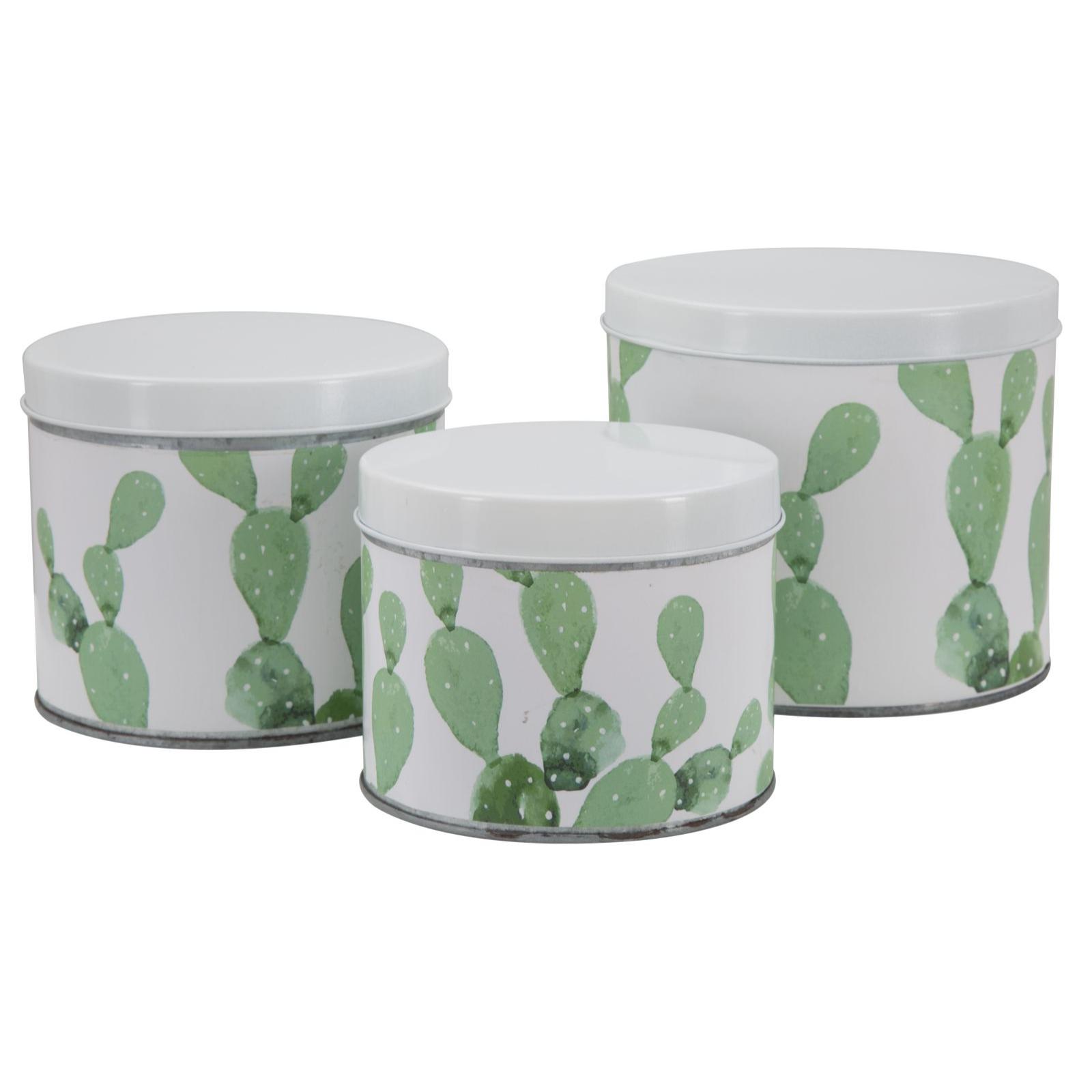 COFANETTI CACTUS SET 3 PZ OFFICINE 55 BICOLORE