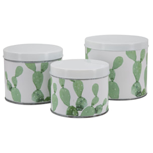 COFANETTI CACTUS SET 3 PZ OFFICINE 55 BICOLORE