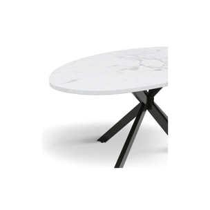 Table repas ovale pieds spider