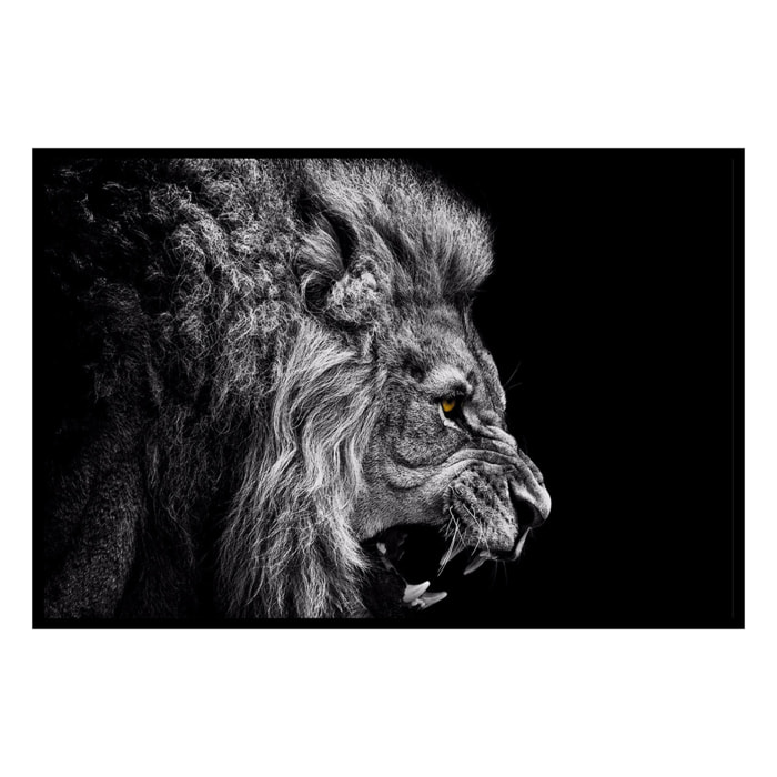 Affiche encadrée lion rugissant noir et blanc Affiche + cadre en métal - Noir