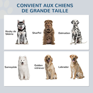 Gamelle double chien - porte-gamelles surélevé rangement 2 en 1 - tiroir, 2 gamelles - acier inox. MDF gris blanc