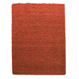 Tapis poils longs shaggy tissé motif uni ZASIVE