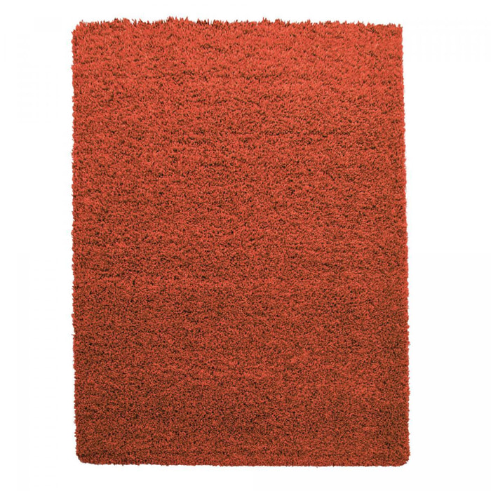 Tapis poils longs shaggy tissé motif uni ZASIVE
