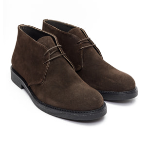 Chukka boot British Passport Marrone