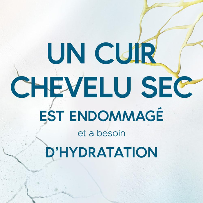 6 Crèmes De Soin Hydrate 145ml, DERMAxPRO by Head & Shoulders