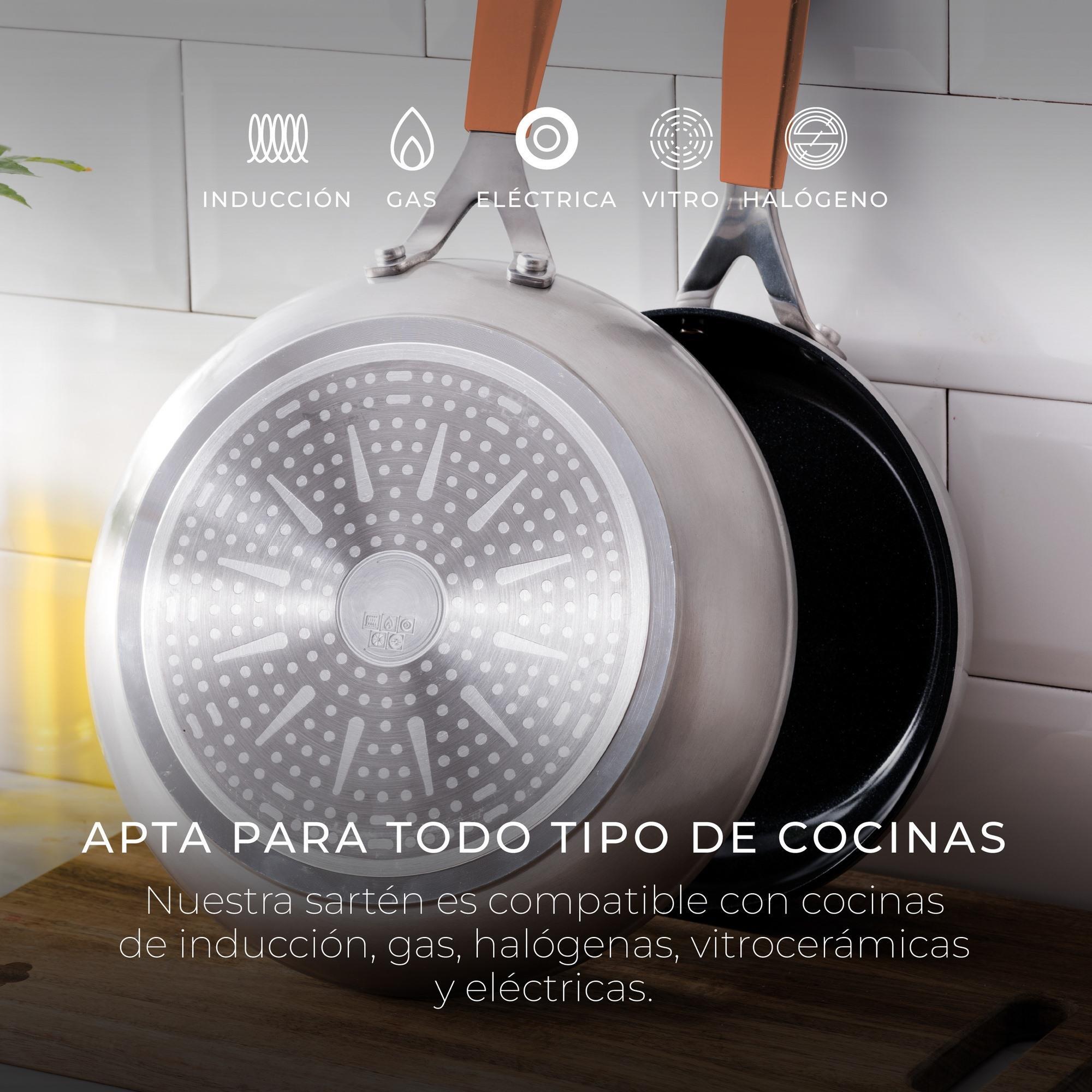 Juego de 2 Sartenes Ø16Ø28cm en aluminio forjado para inducción COMPACT San Ignacio