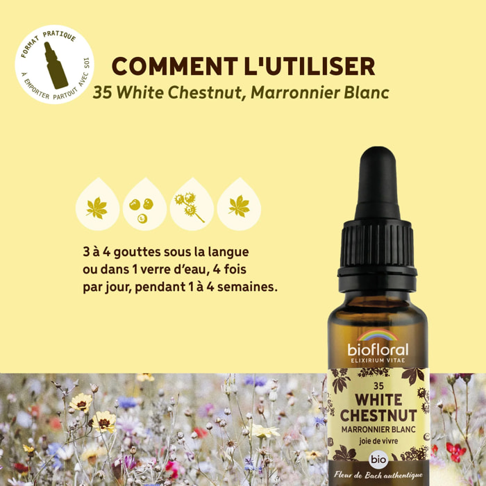 Biofloral - Fleur de Bach n°35 White Chestnut, Marronnier Blanc - Bio Demeter - 20 ml