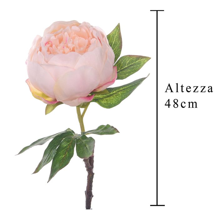 Peonia. Altezza 48 Cm - Pezzi 6 - 14,5X50X14,5cm - Colore: Altro - Bianchi Dino - Fiori Artificiali