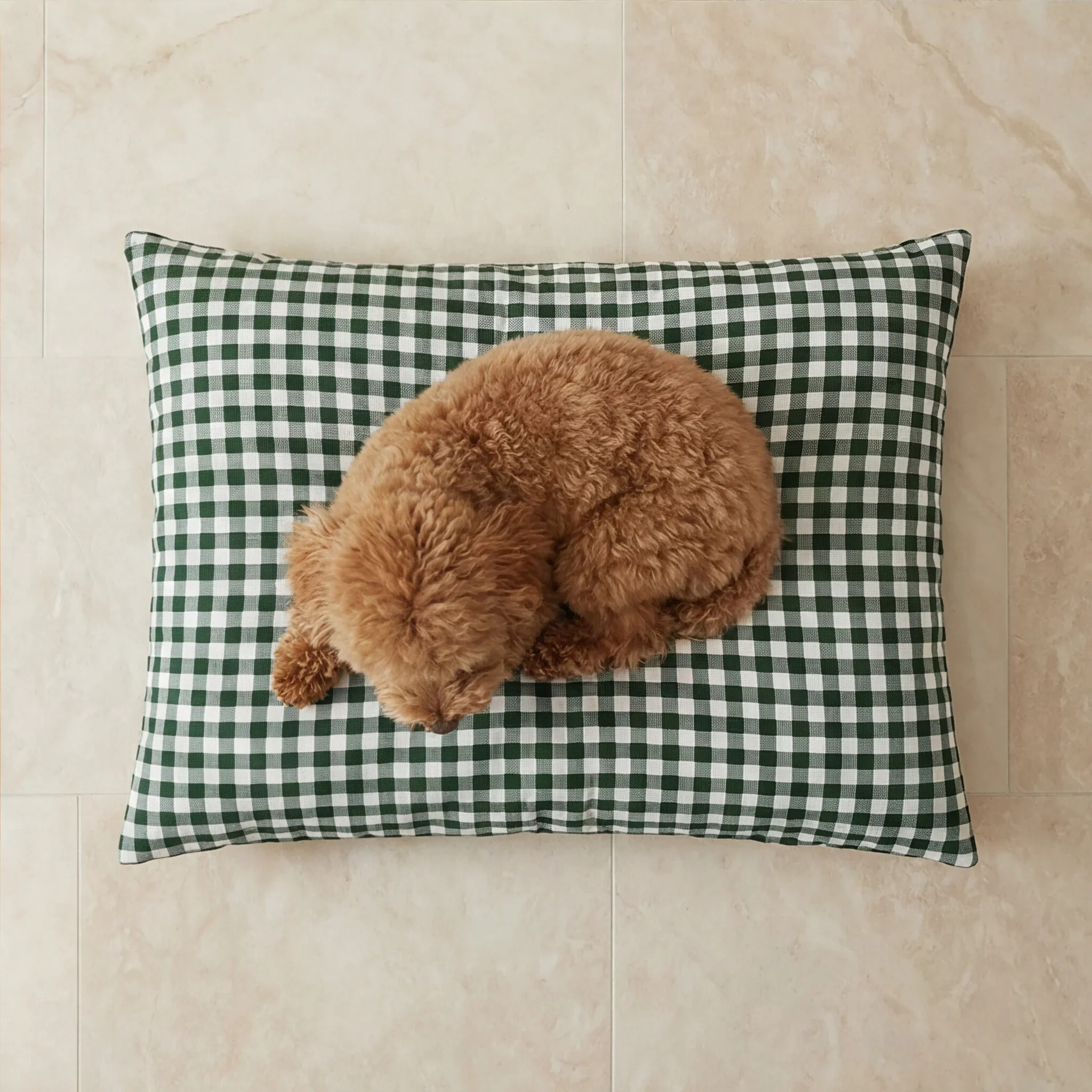 Lit pour animaux déhoussable et antitaches Aielo Bouteille