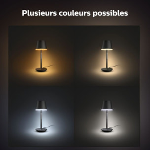 Lampe connectée PHILIPS HUE GO Blanc White&Color Ambiance