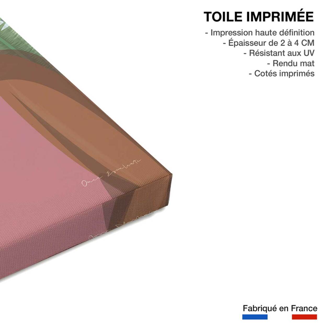 Tableau vintage femme Créole Toile imprimée