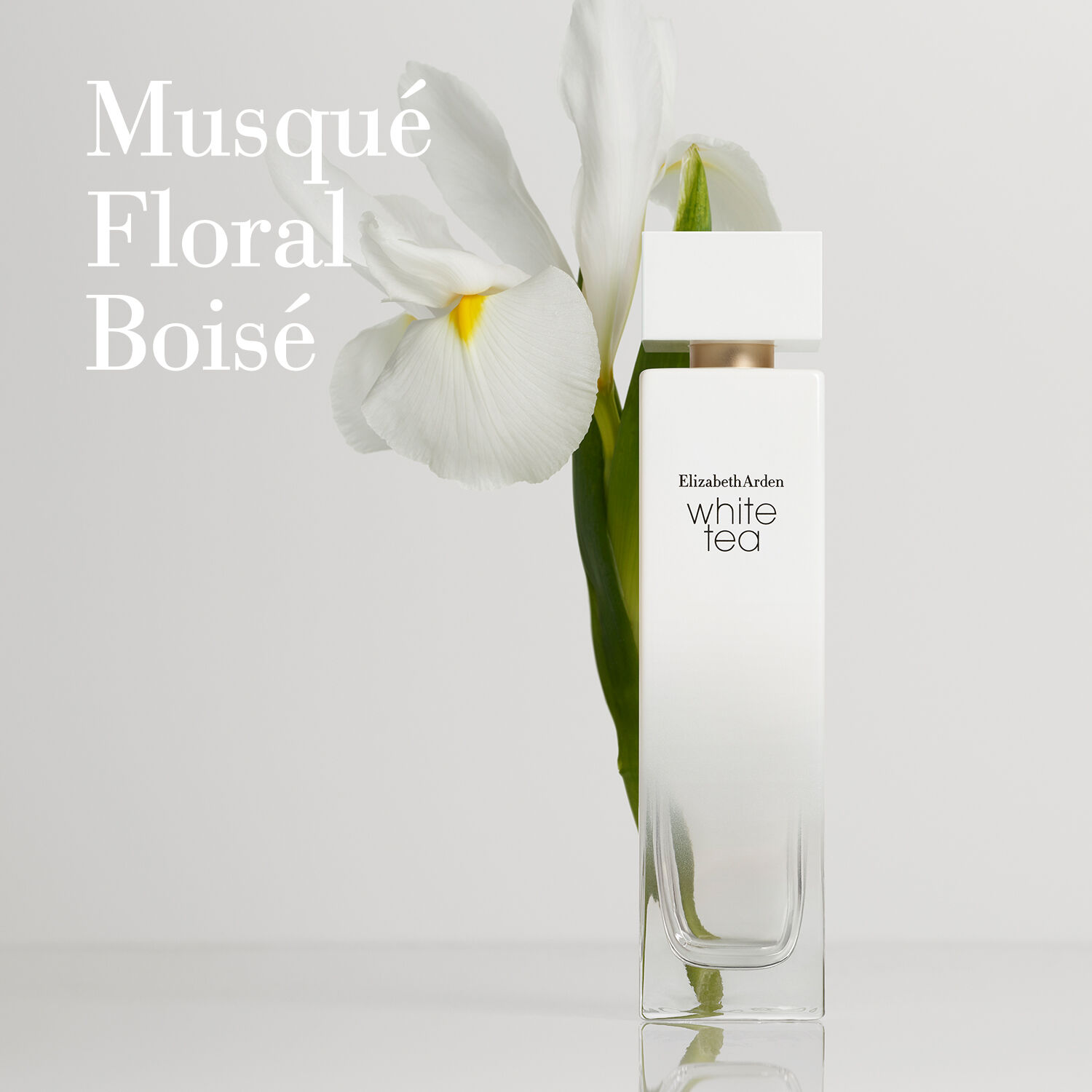 White Tea - Crème Corps Douceur Ultime 400 ml