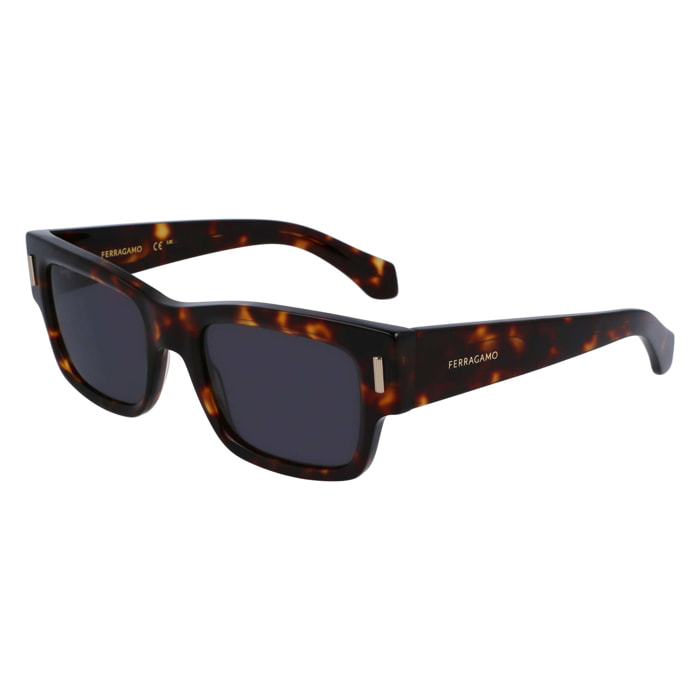 Gafas de sol Ferragamo Hombre SF2011S-242
