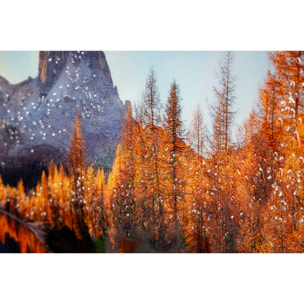 STAMPA SU TELA LACCATA C/CORNICE LAKE CM 90X4X60