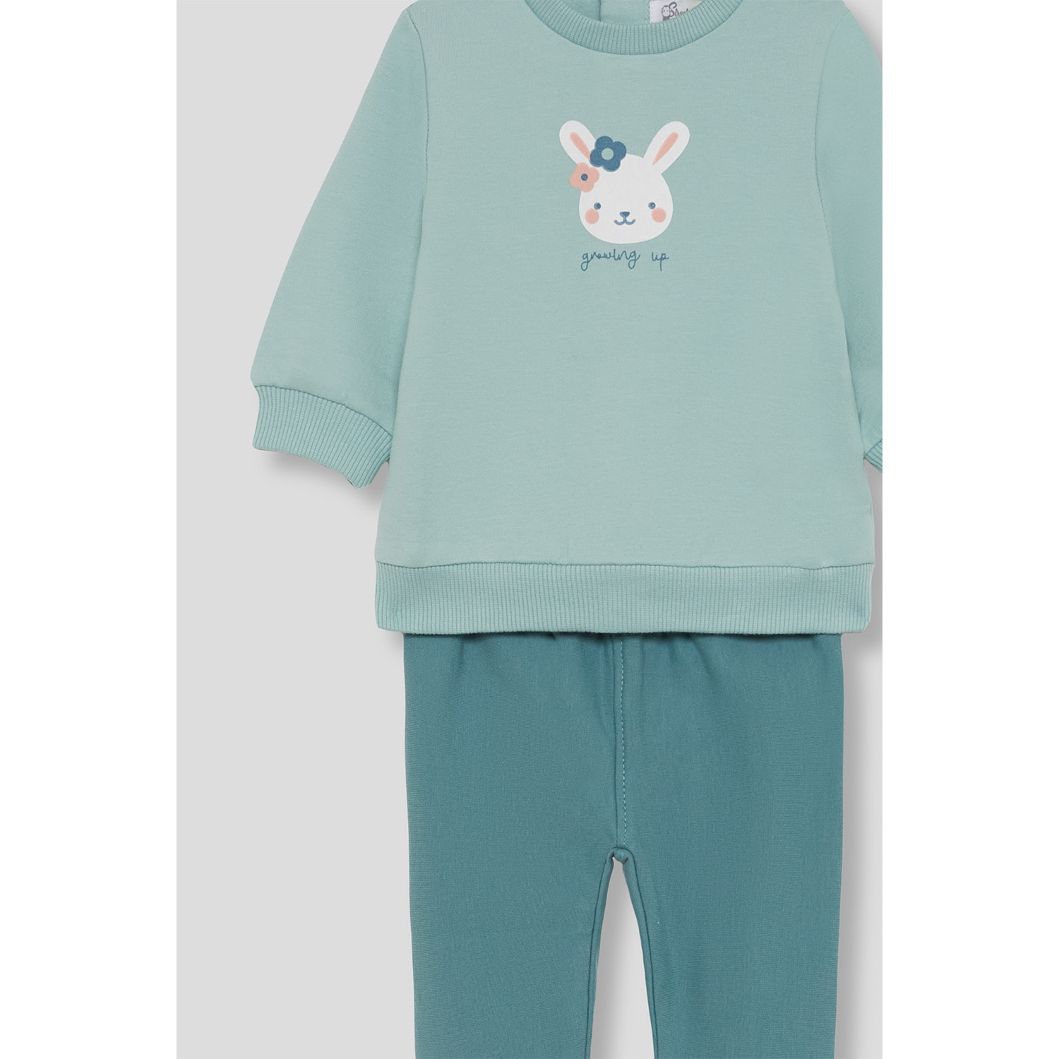 Conjunto bebé niña sudadera verde y leggings eucalipto, estampado de conejito y botones en la espalda | Color: Verde claro | Street Monkey