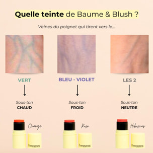 Fantastick Baume & Blush - Stick Multi-Usages pour le Teint