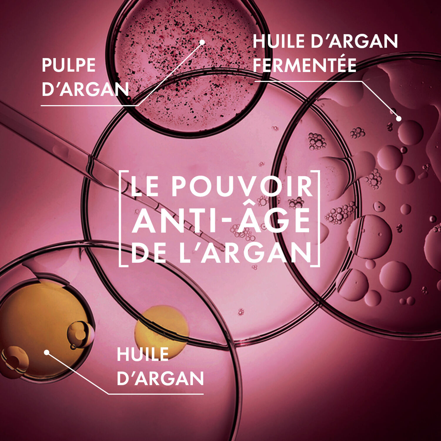 Argan Bio Active - Crème Lift & Fermeté