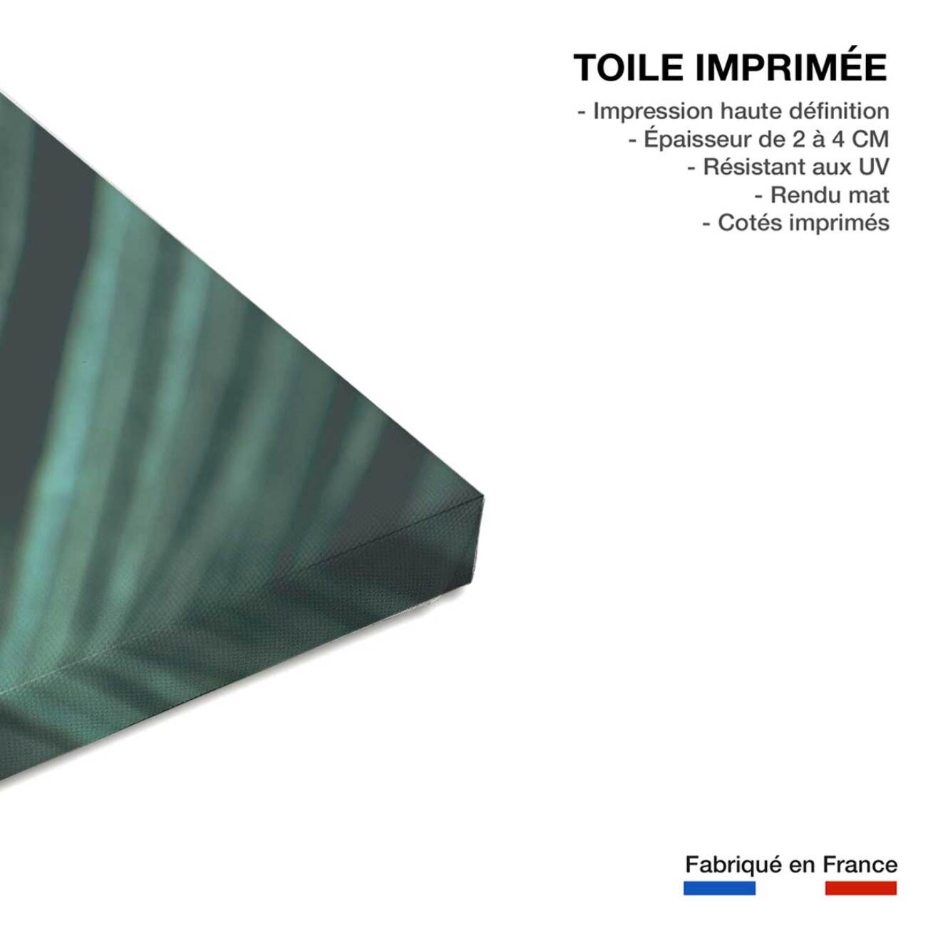 Tableau feuillepalmen Toile imprimée