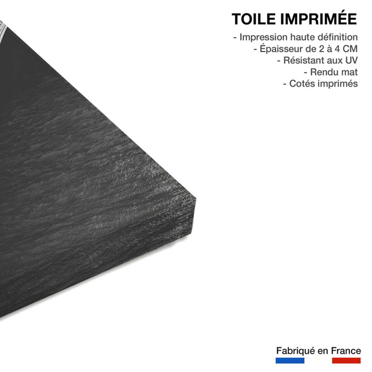 Tableau Paris vue du pont Alexandre III Toile imprimée