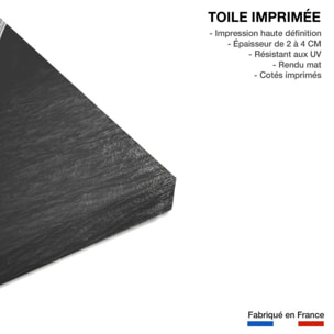 Tableau Paris vue du pont Alexandre III Toile imprimée