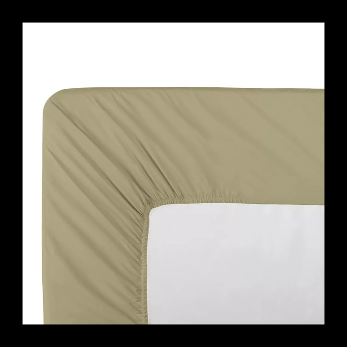 Drap housse b30 percale de coton uni beige La percale francaise champagne