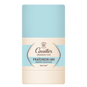 Menthe Aquatique - Déodorant Stick Fraîcheur 48h