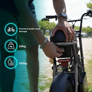 Draisienne Électrique Adulte Thunder 160 – Moteur 1100W - Autonomie Jusqu'a 30 km - Pneu 16" FATBIKE - Batterie 42V/7,8Ah - Poids 28Kg