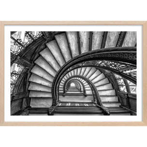 Affiche circular staircase Affiche + cadre en bois - Chêne